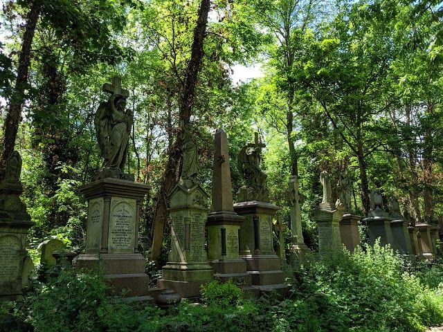 Abney Park